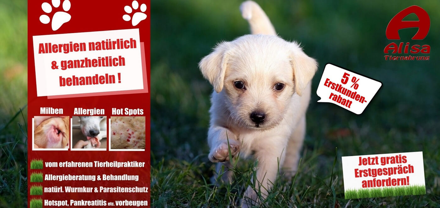 Allergie Hund / Katze natürlich behandeln Allergie Hund / Katze mit natürlichen Mitteln behandeln vom Tierheilpraktiker München, Salzburg. Auch bei Giardien, Hotspots und Wurmbefall